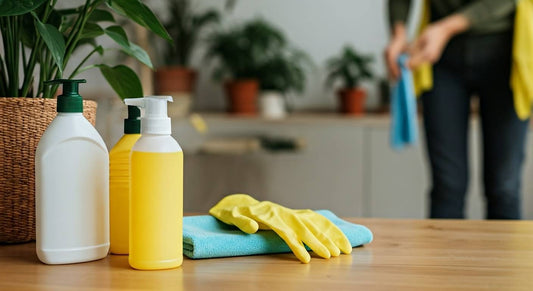 Spring Cleaning Naturally: A Biblical Perspective on Small Steps